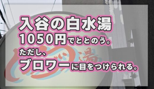 入谷の白水湯｜1,050円でととのう。ただし、ブロワーには目をつけられる。